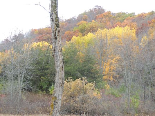 Kettle Moraine State Forest plans events